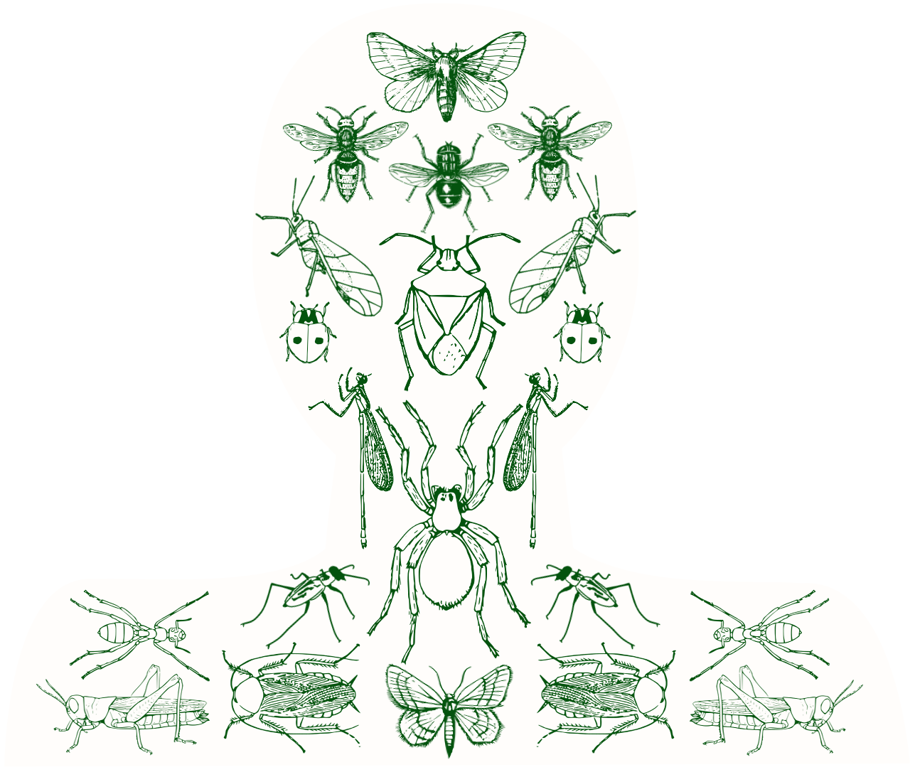 What is an Entomologist?